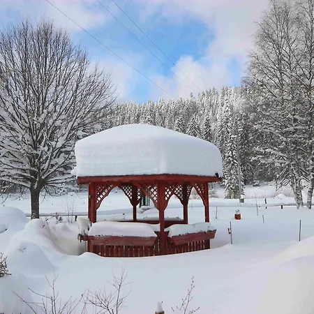 شقة Gaestehaus Seewald